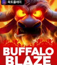 버팔로 블레이즈: 와일드 웰쓰