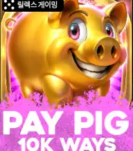 페이 피그 10k 웨이즈