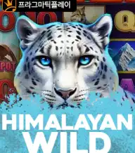 히말라얀 와일드