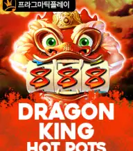 드래곤 킹 핫 팟츠