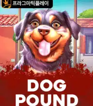 도그 파운드