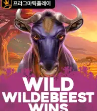 와일드 와일드비스트 윈즈