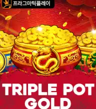 트리플 팟 골드