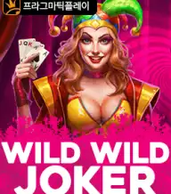 와일드 와일드 조커
