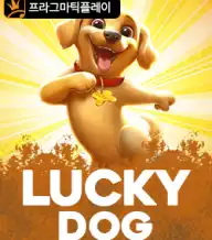럭키 도그