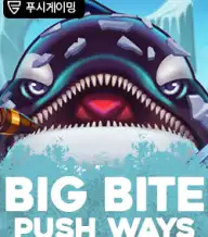 빅 바이트 푸시 웨이즈
