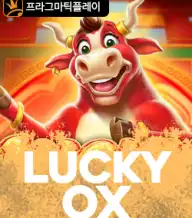 럭키 옥스