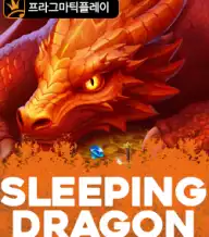 슬리핑 드래곤