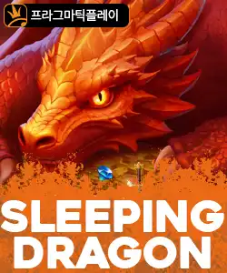 20250422095916슬리핑드래곤.jpg