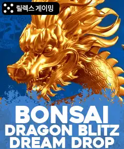 20250529110738본사이드래곤블리츠드림드랍.jpg
