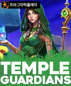 20250516102504템플가디언즈.jpg