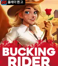 버킹 라이더
