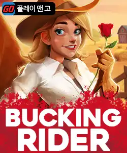 20250507102203버킹라이더.jpg
