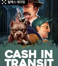 캐시 인 트랜지트