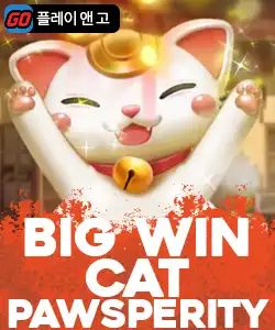 20250514095702빅윈캣파우스페리티.jpg