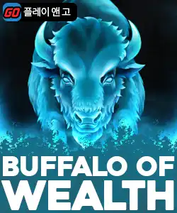 20250620093304버팔로웰스.jpg