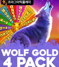 울프 골드 4 팩