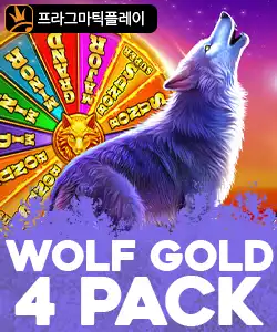 20250715095228울프골드4팩.jpg