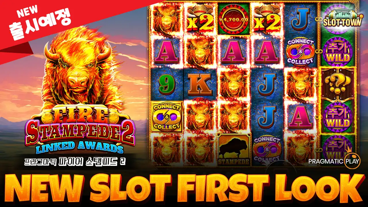 [NEW] 파이어 스탬피드 2