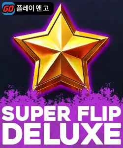 20250707095344수퍼플립디럭스.jpg