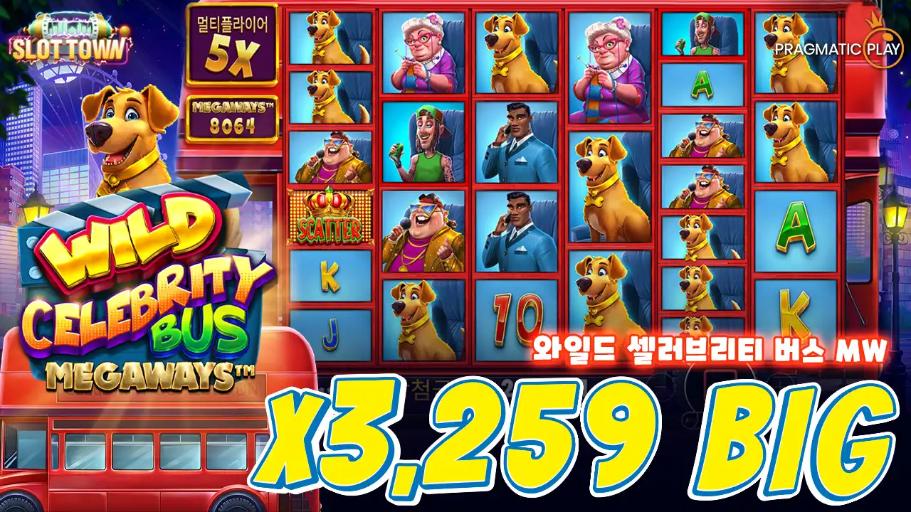 와일드 셀러브리티 버스 MW