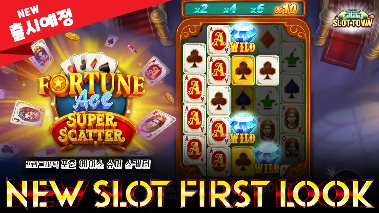 [NEW] 포춘 에이스 슈퍼 스케터