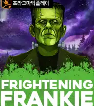 플라이트닝 프랭키