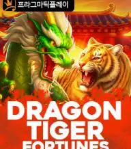 드래곤 타이거 포춘