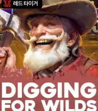 디깅 포 와일드