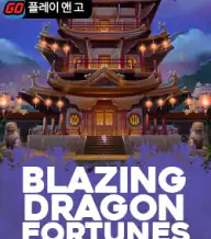블레이징 드래곤 포춘스