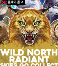 와일드 노스 레이디언트 스카이즈 고 컬렉트