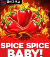 스파이스 스파이스 베이비!