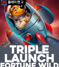 트리플 런치 포춘 와일드