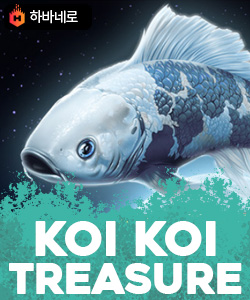 코이 코이 트레져