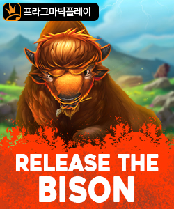 릴리즈 더 바이슨