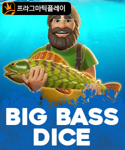 빅 배스 다이스