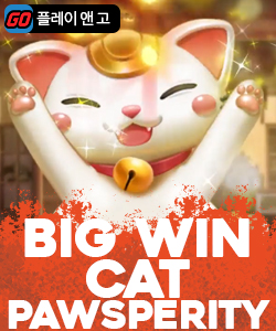 빅윈 캣 파우스페리티
