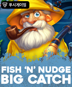 피쉬 앤 넛지 빅 캐시