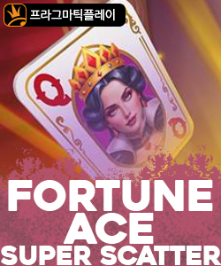 포춘 에이스 슈퍼 스케터