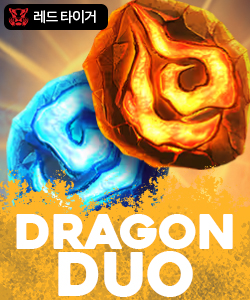 드래곤 듀오