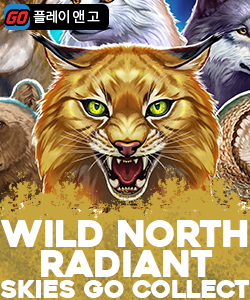 와일드 노스 레이디언트 스카이즈 고 컬렉트